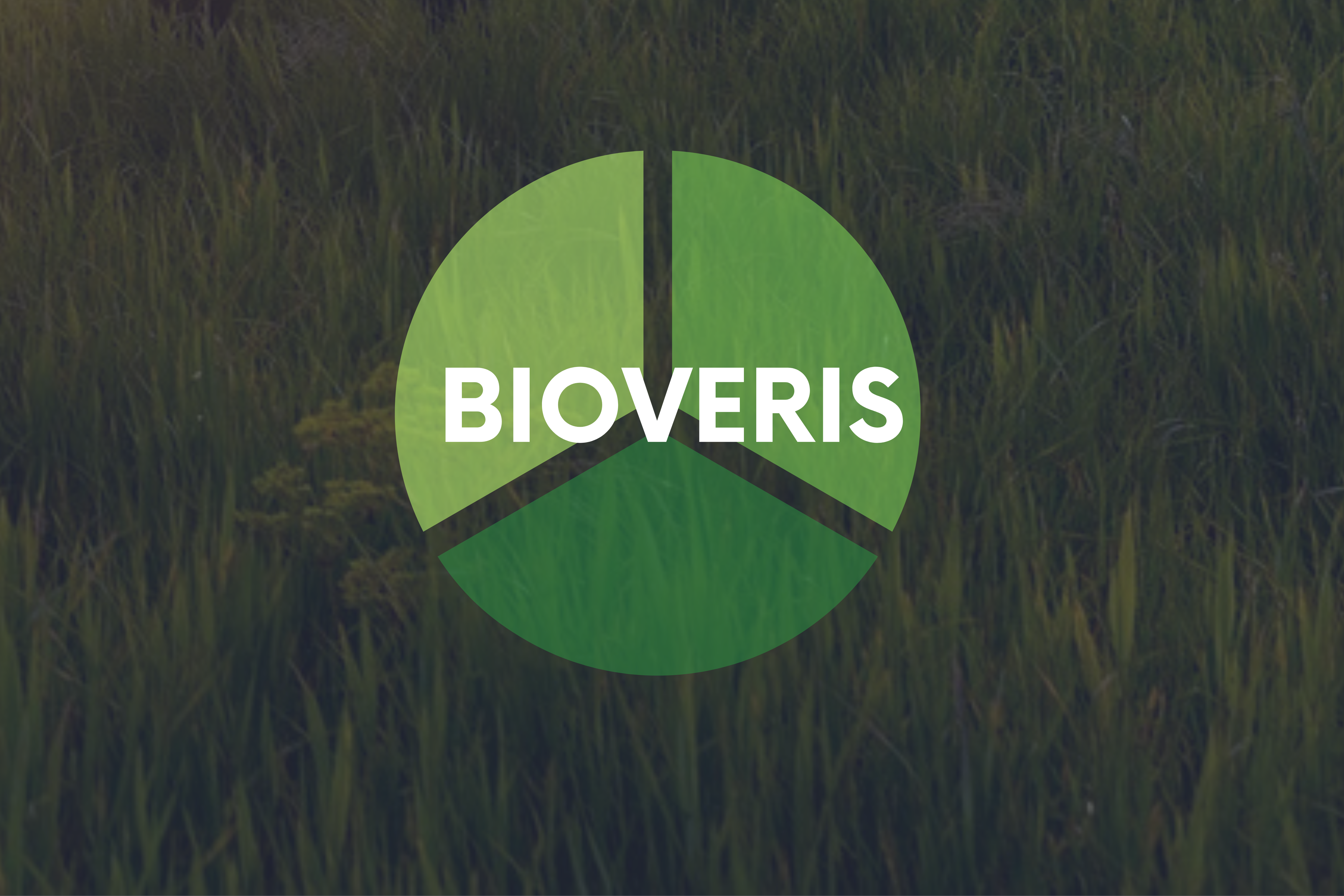 BioVeris – geplantes ZIM-Innovationsnetzwerk